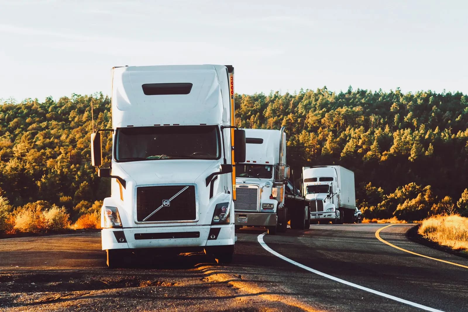 Coordinación operativa